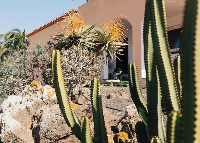 Dreamwaves Surf House Lajares Fuerteventura ゲストハウス