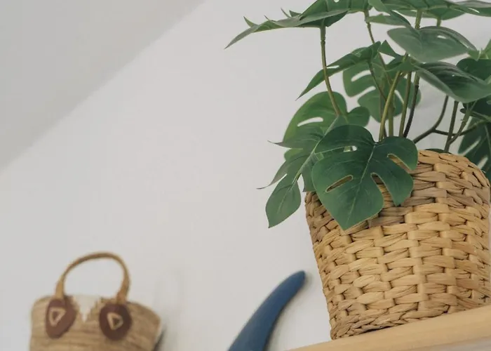 Dreamwaves Surf House Lajares Fuerteventura