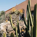 Dreamwaves Surf House Lajares Fuerteventura 招待所