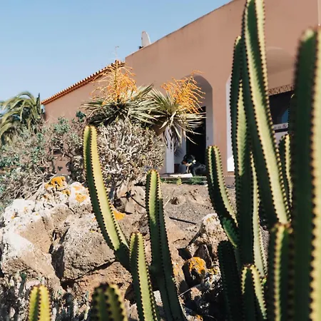Dreamwaves Surf House Lajares Fuerteventura 招待所