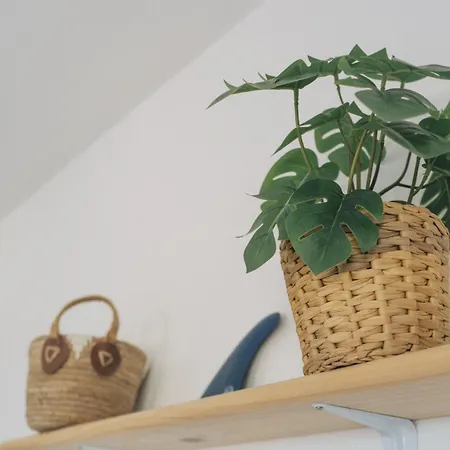 Dreamwaves Surf House Lajares Fuerteventura